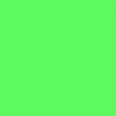 Power mesh 65 gr / m2 - KELLY GREEN (neon)